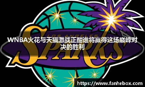 WNBA火花与天猫激战正酣谁将赢得这场巅峰对决的胜利